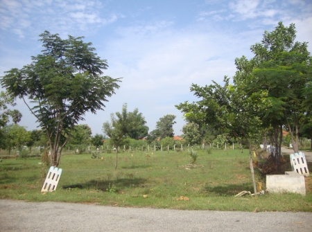 3) Commercial Land for Sale  Besides to Yerpedu - Venkatagiri Highway Road.JPG